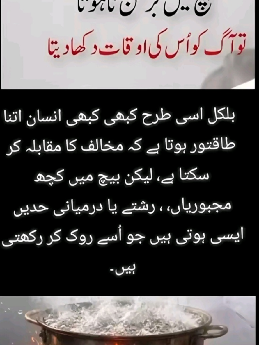 @Anum Alvi 🇵🇰🇺🇸
