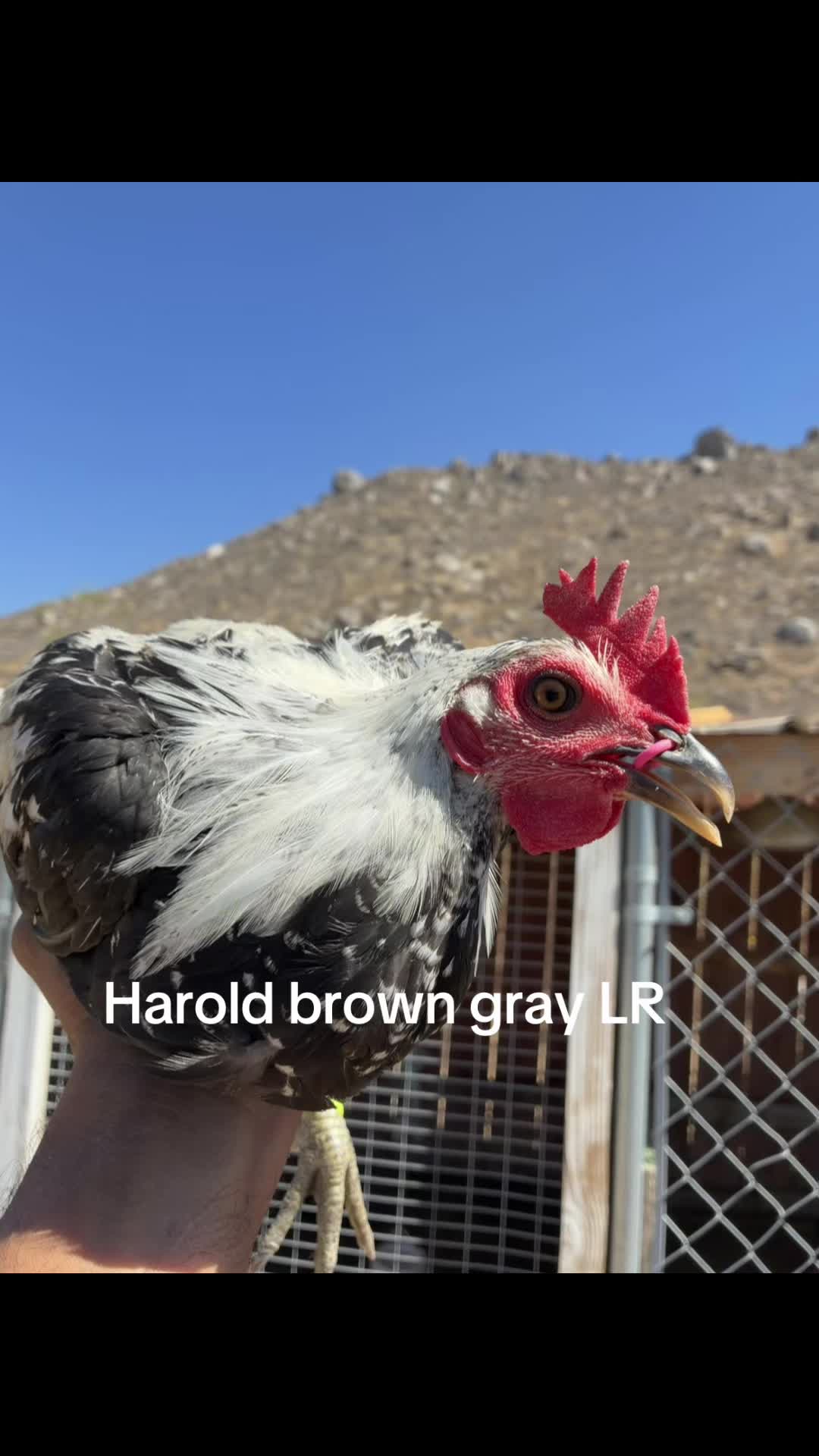 @A.MENDOZA.FARM.USA 74HWY