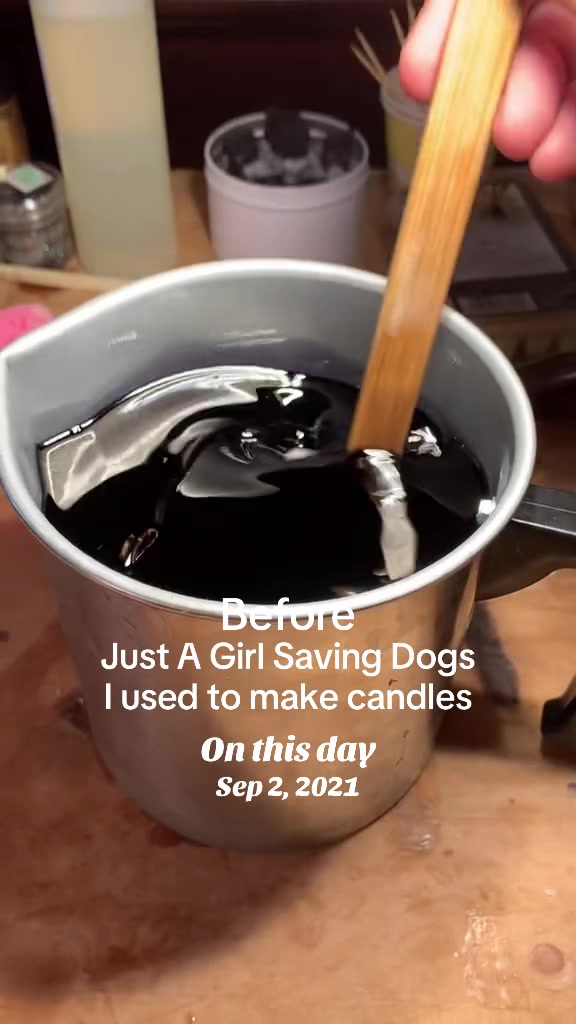 @Just A Girl Saving Dogs