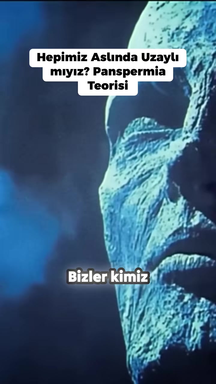 @leonizm35