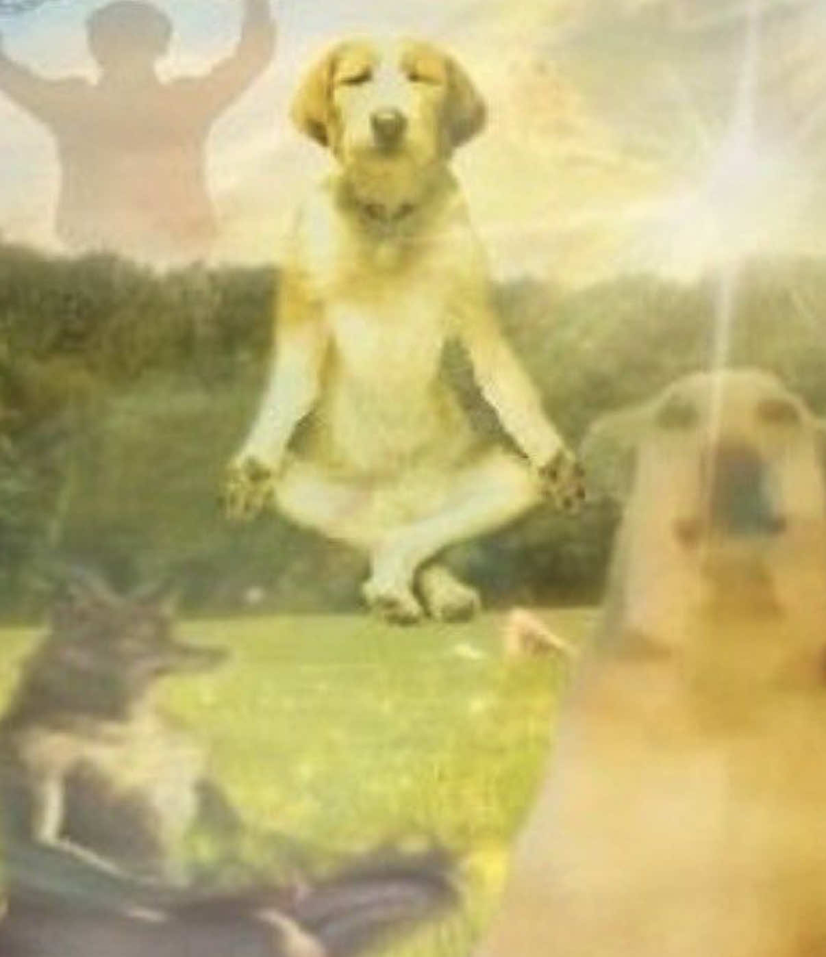 @𝐀𝐍𝐆𝐄𝐋𝐈𝐓𝐎𝐎! ⊹₊⟡⋆