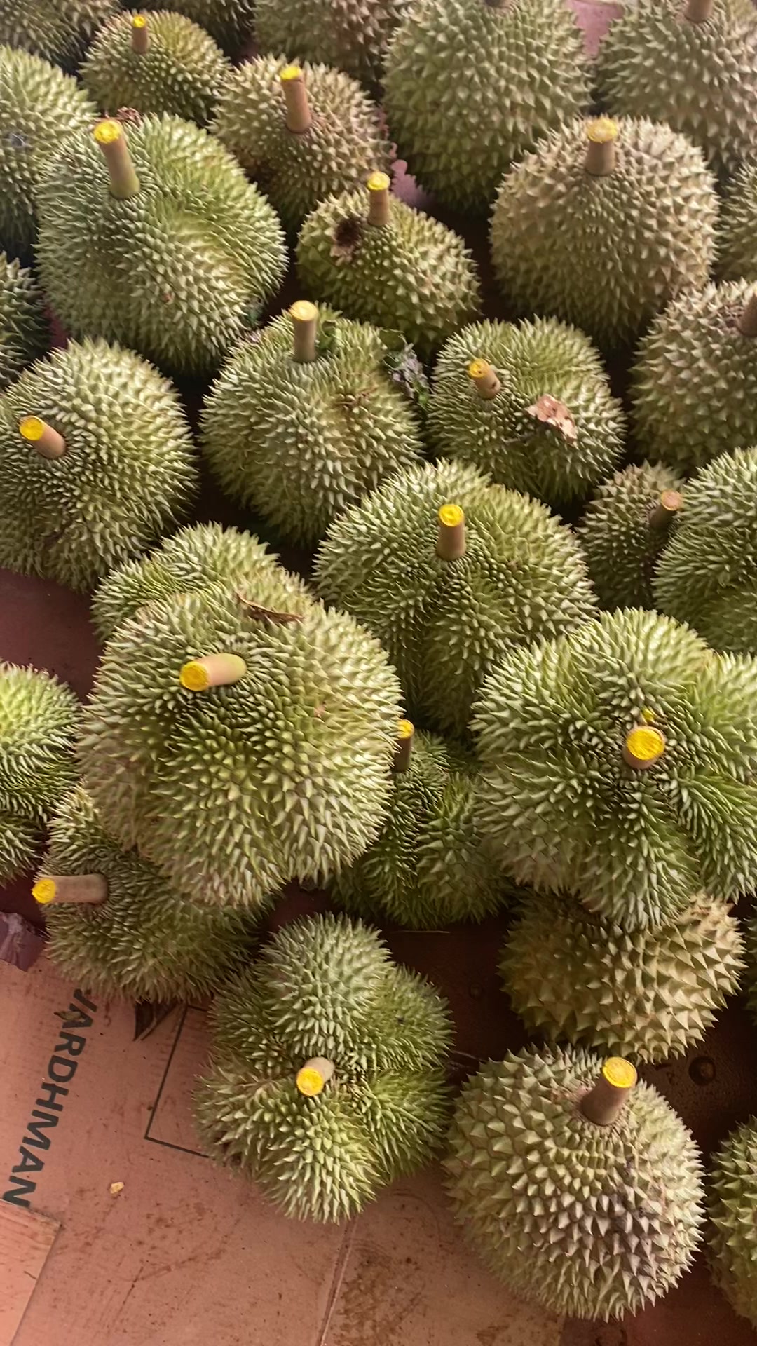 @Hiền Võ Tây Nguyên 🥰