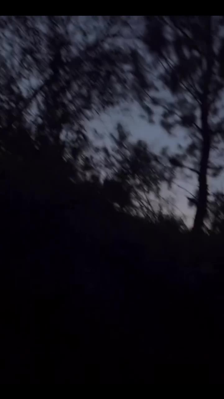@🦋🐀🐎KETZEKUA.7121🦋🐁