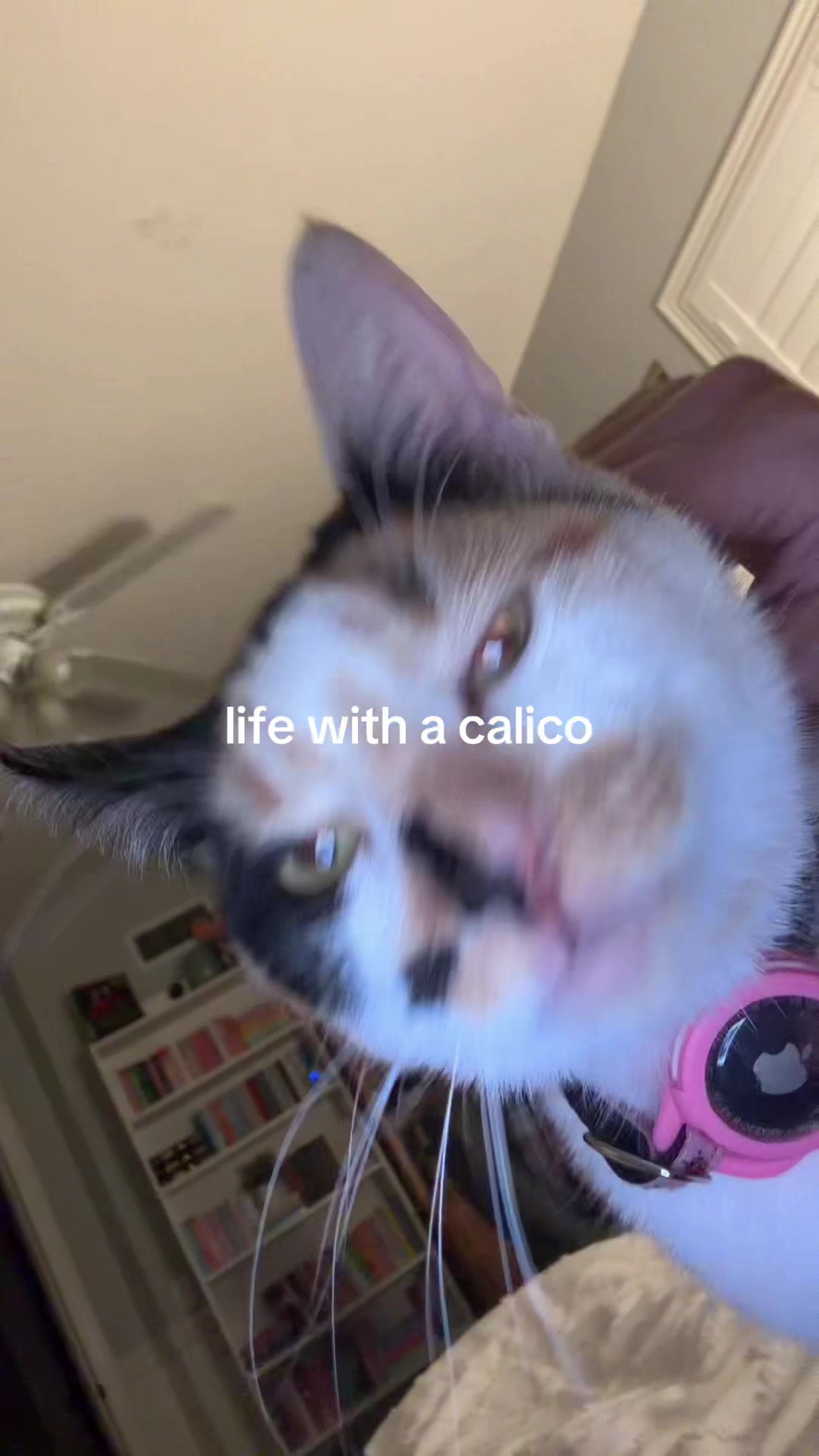 @keira