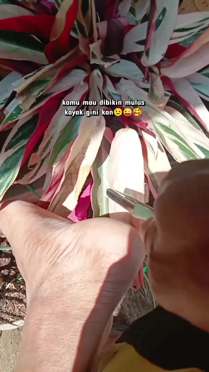 @Kinara98