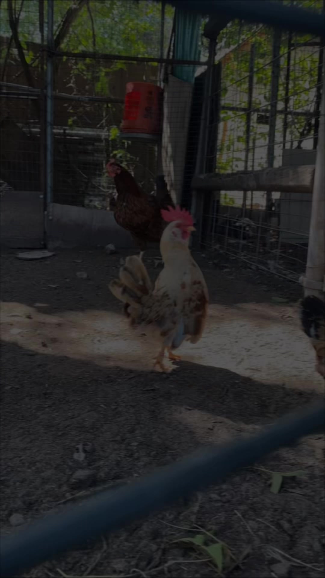 @ElPalmaritoGAMEFARM