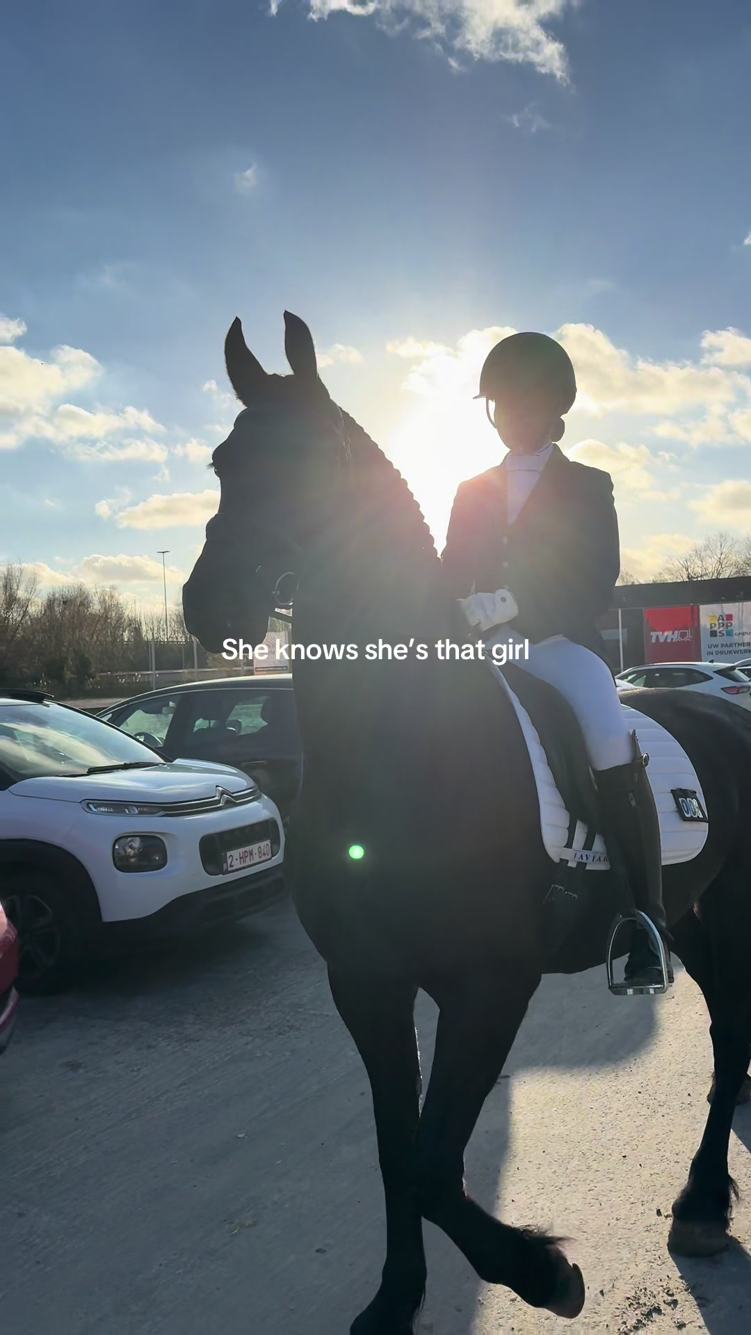 @Phoebe Tack Dressage