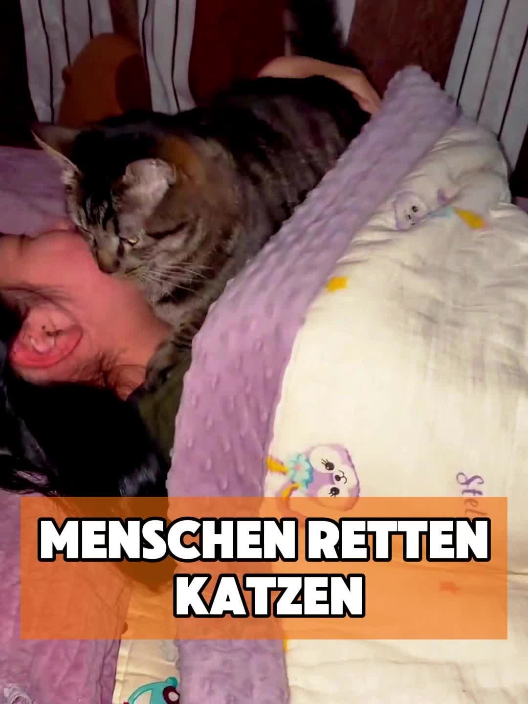 @toto_tier