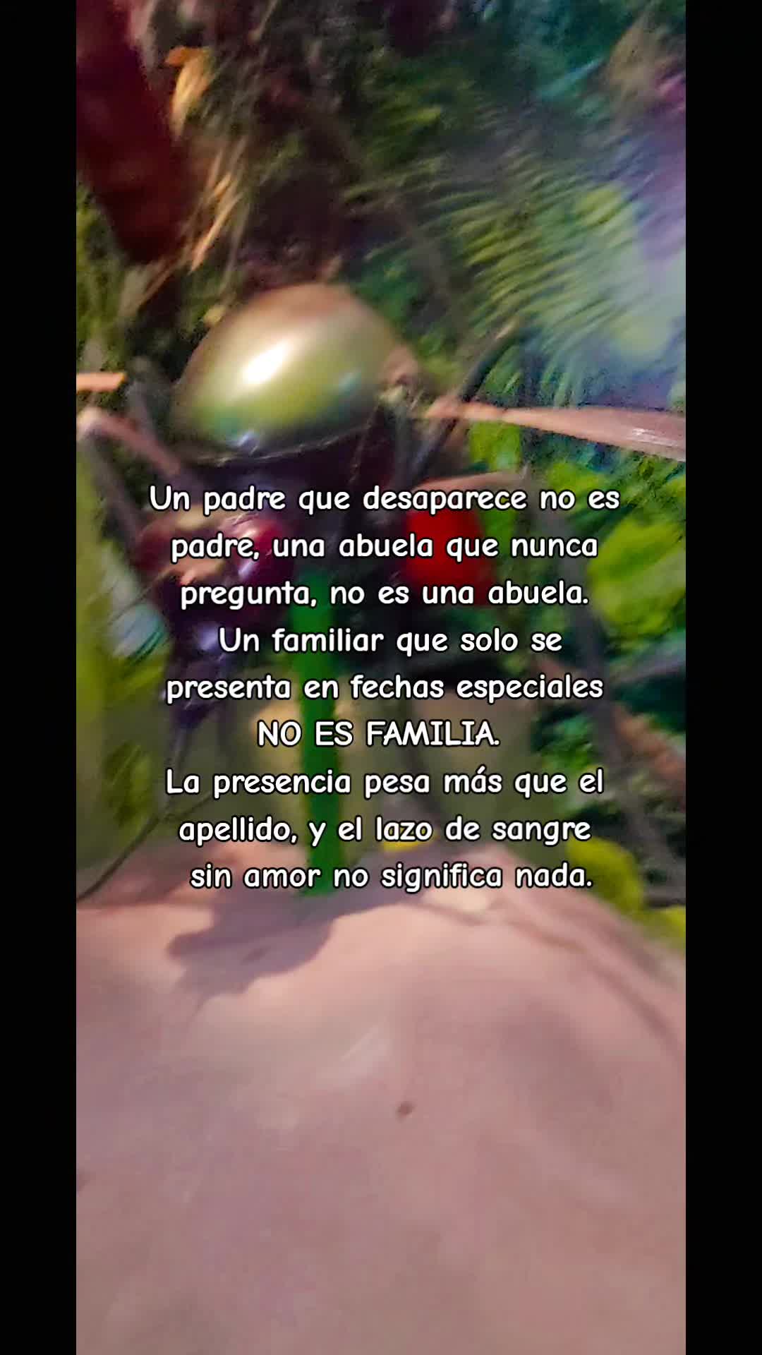 @Any Estrella 💖