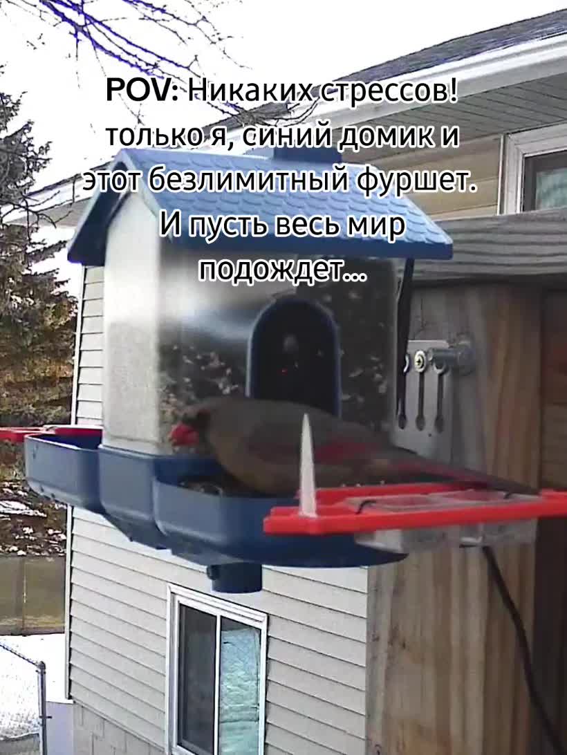 @Любопытно