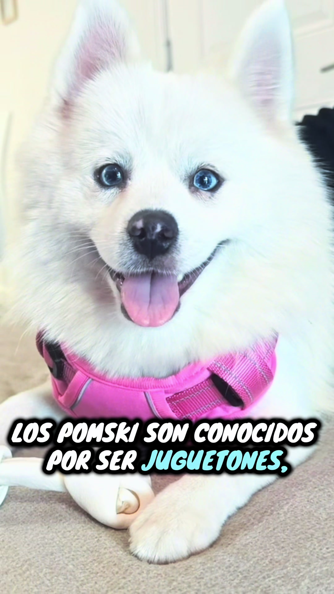 @Luly Resfresquines