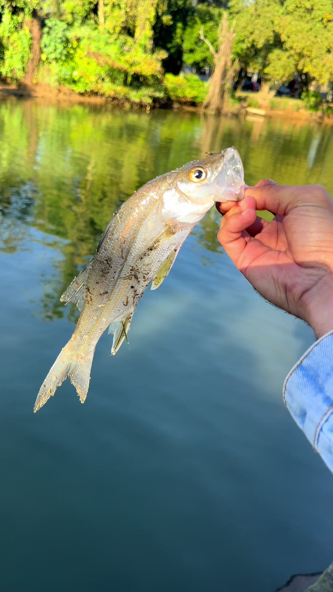 @Bideu Fishing