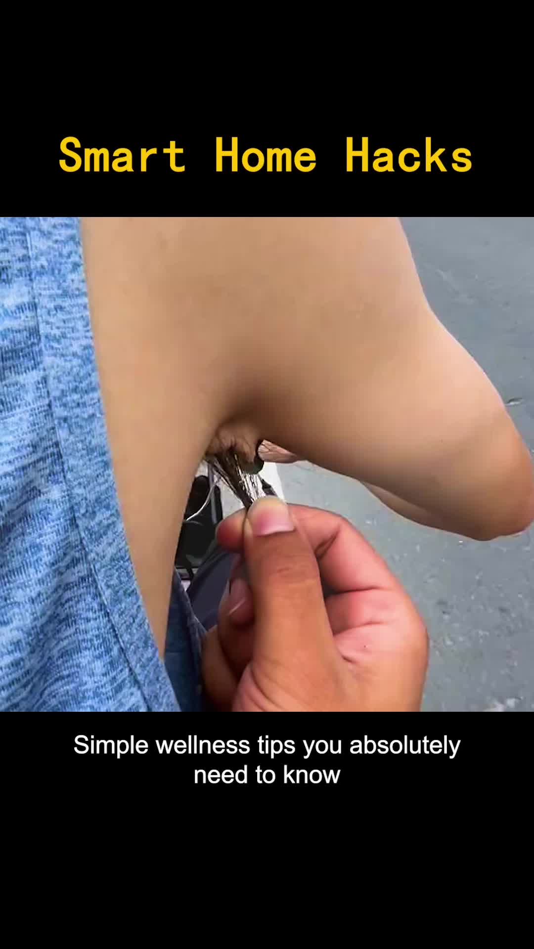 @lordlyhaye