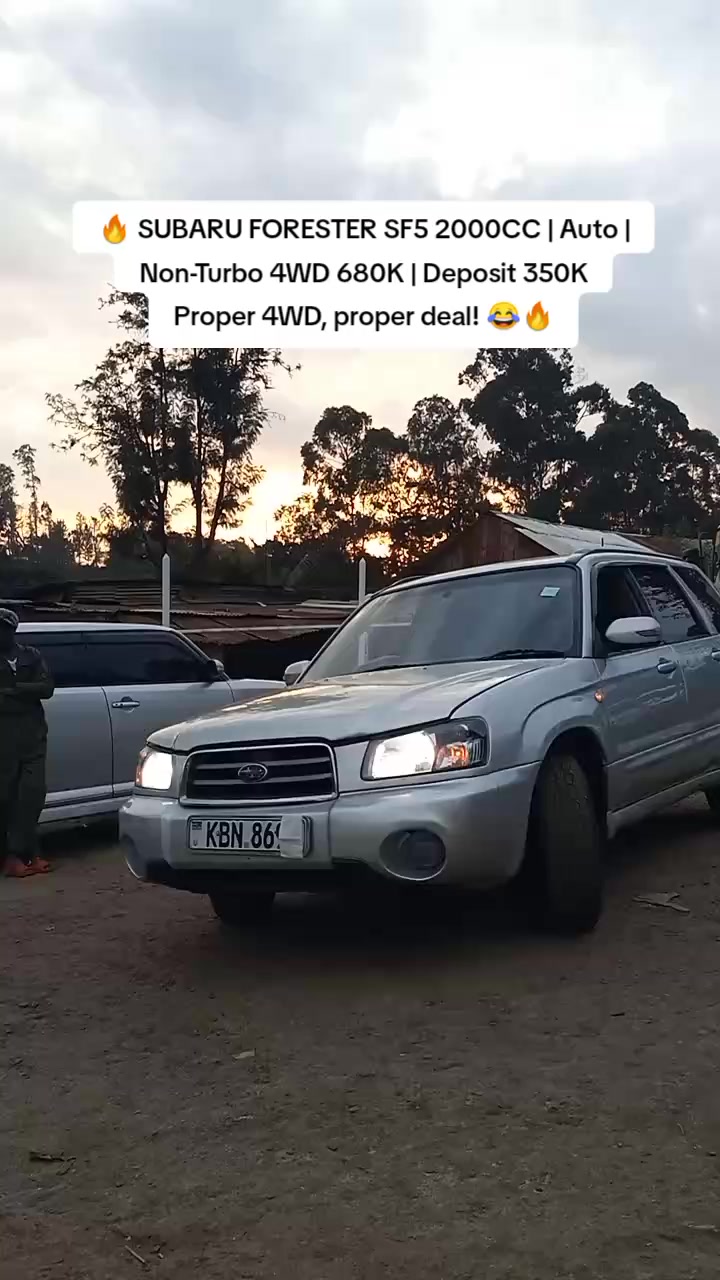 @Dream _Wheel_Dealers