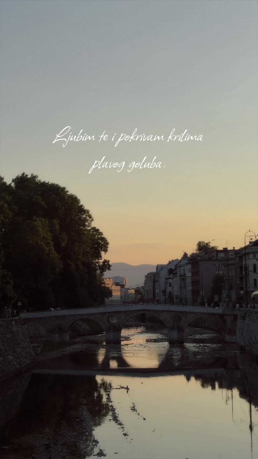 @Roseina🥀