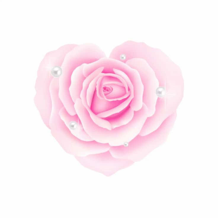 @౨ৎ🦴𝘖𝘤𝘩𝘢𝘤𝘰𝘯𝘪𝘴𝘵𝘢🍮🎀