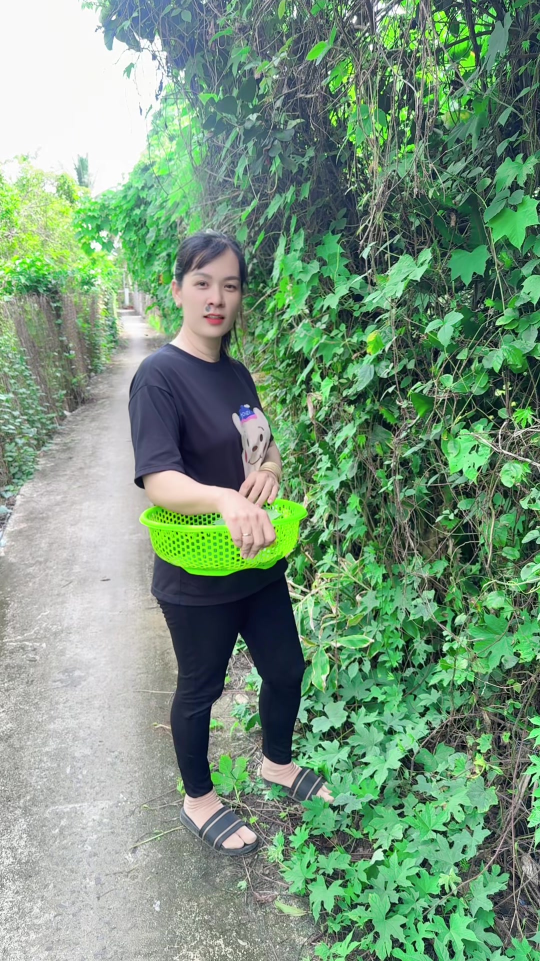 @Bàn tay nhỏ 63B3