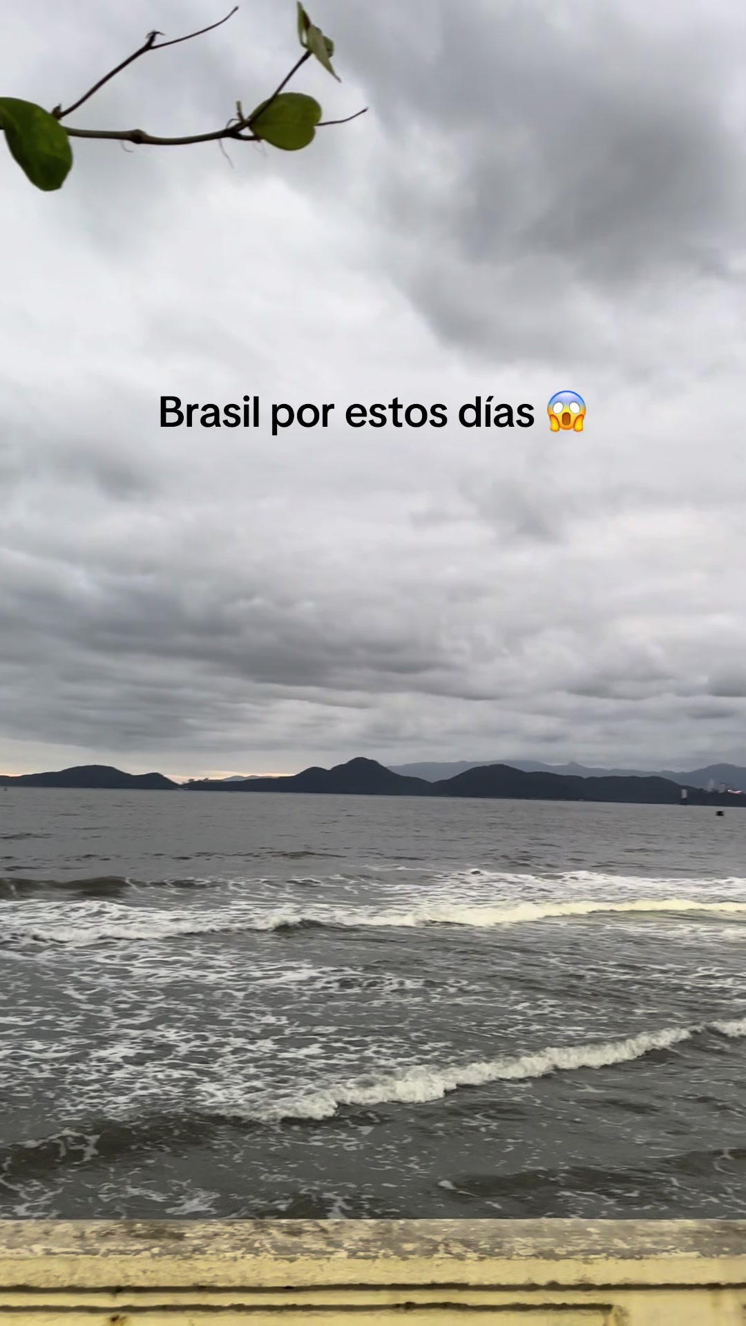 @locosdeandar