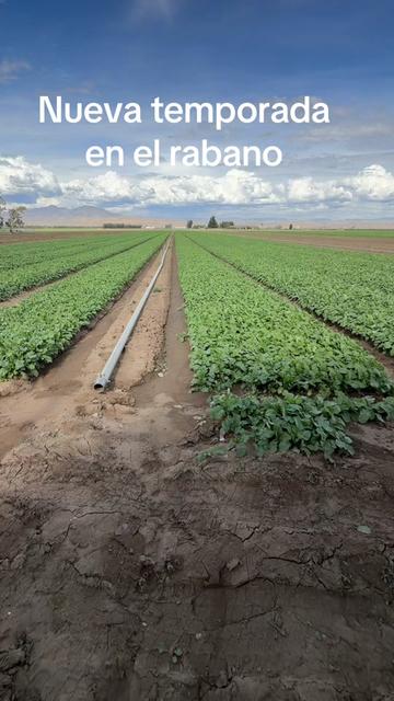 @aparicio.1267