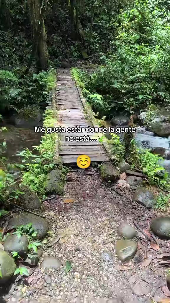 @belensita