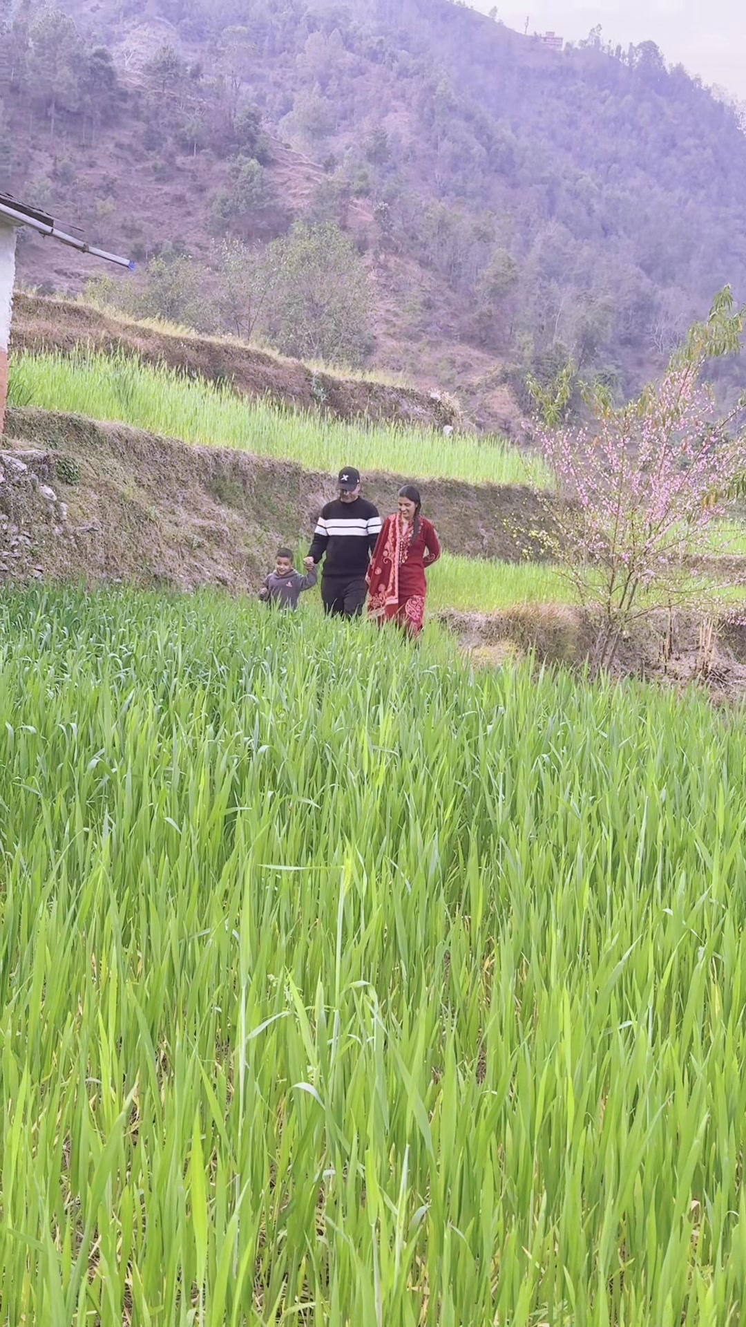 @bhadra