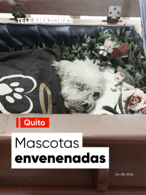 @teleamazonasec
