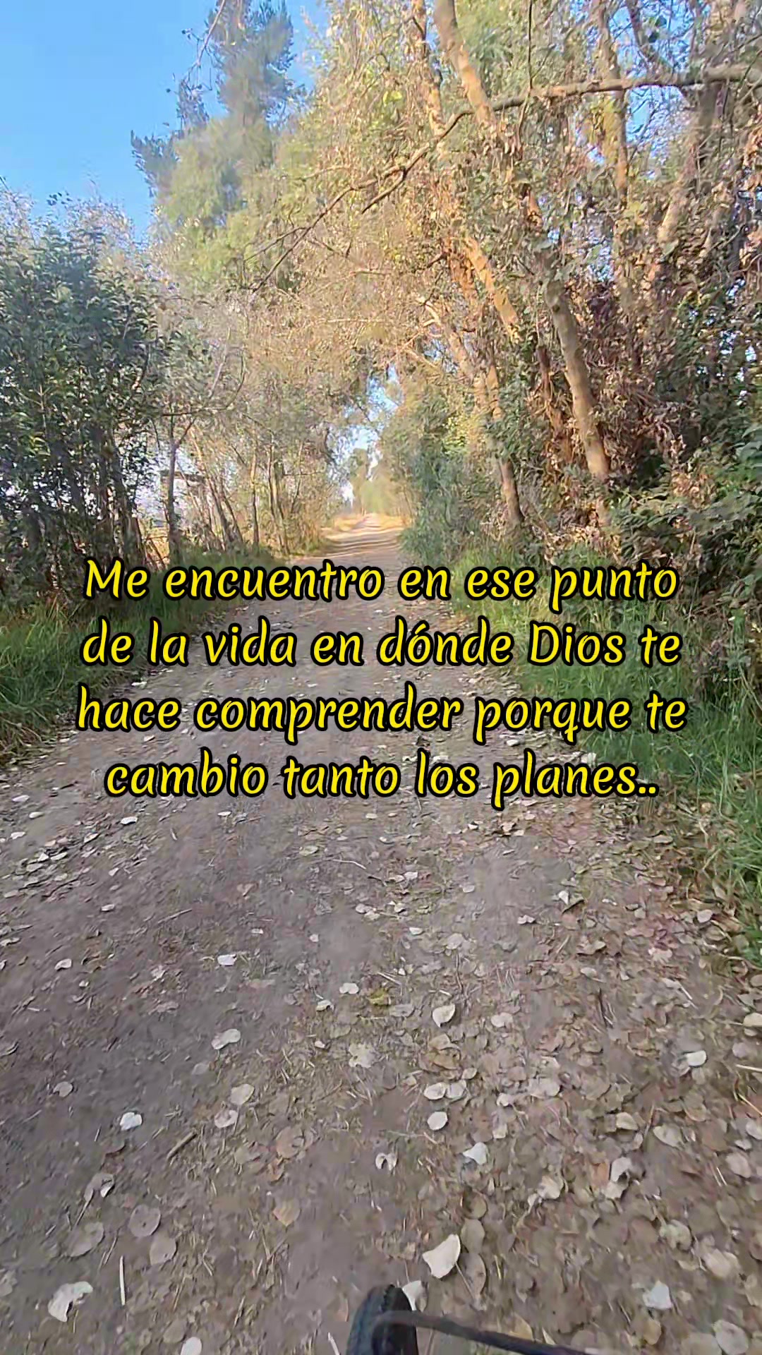 @Dani