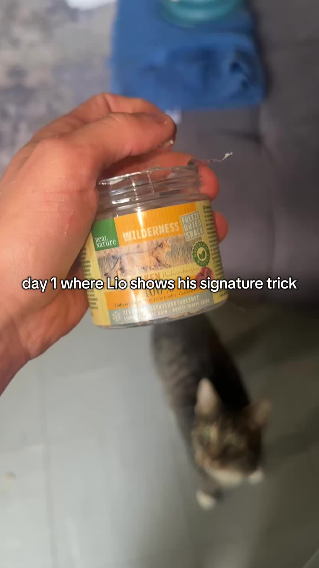 @harlio