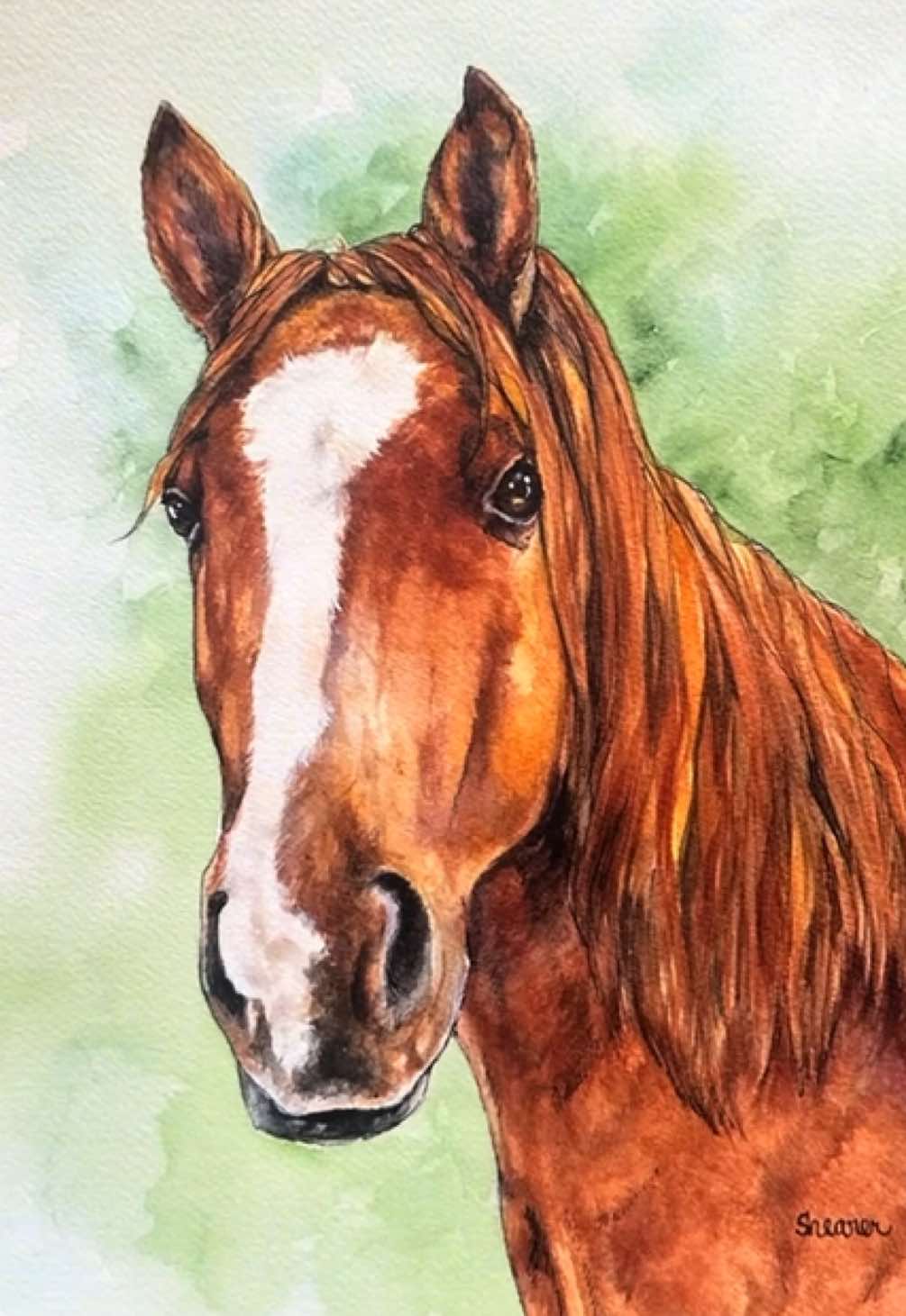 @Pet Portrait Artist