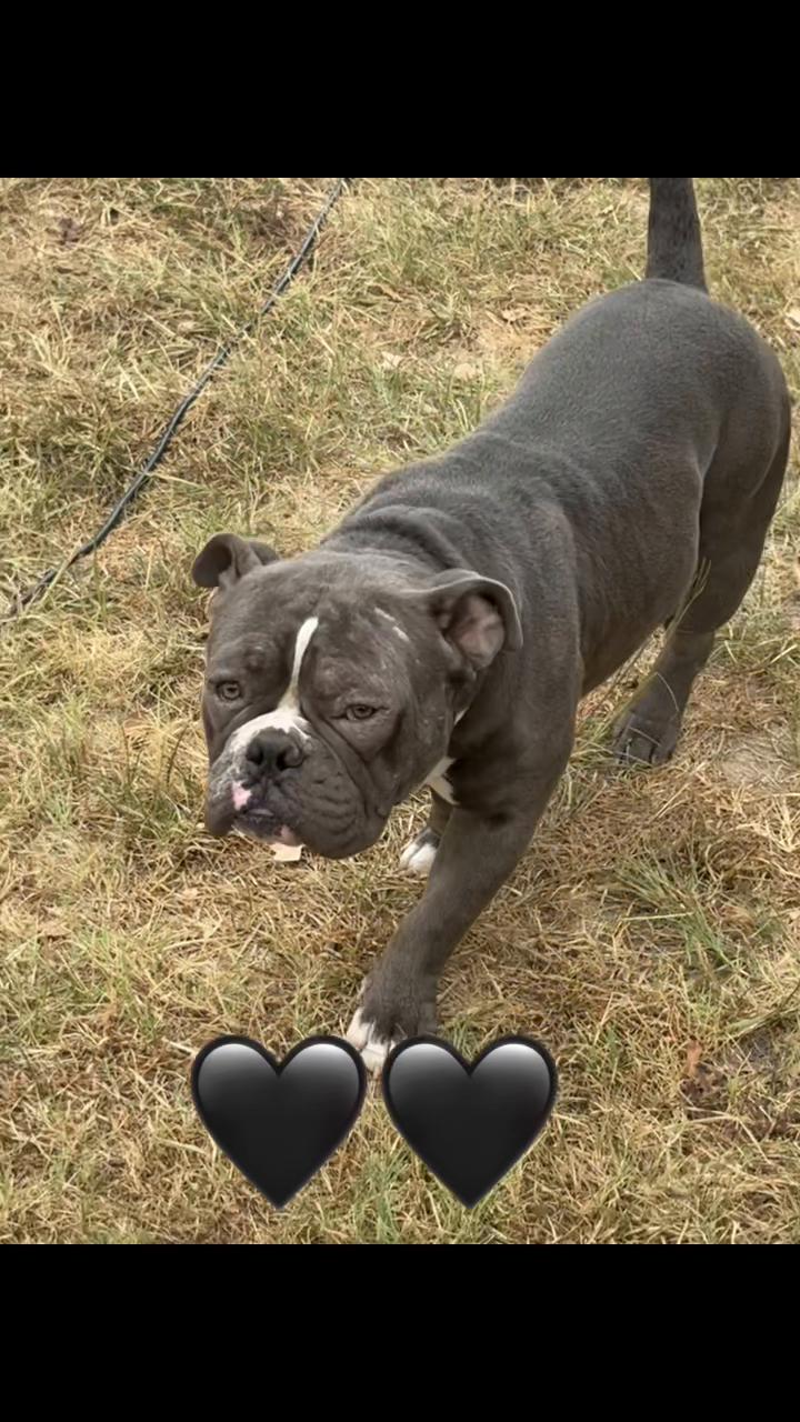 @🐮🖤beverliekaye🖤🐮