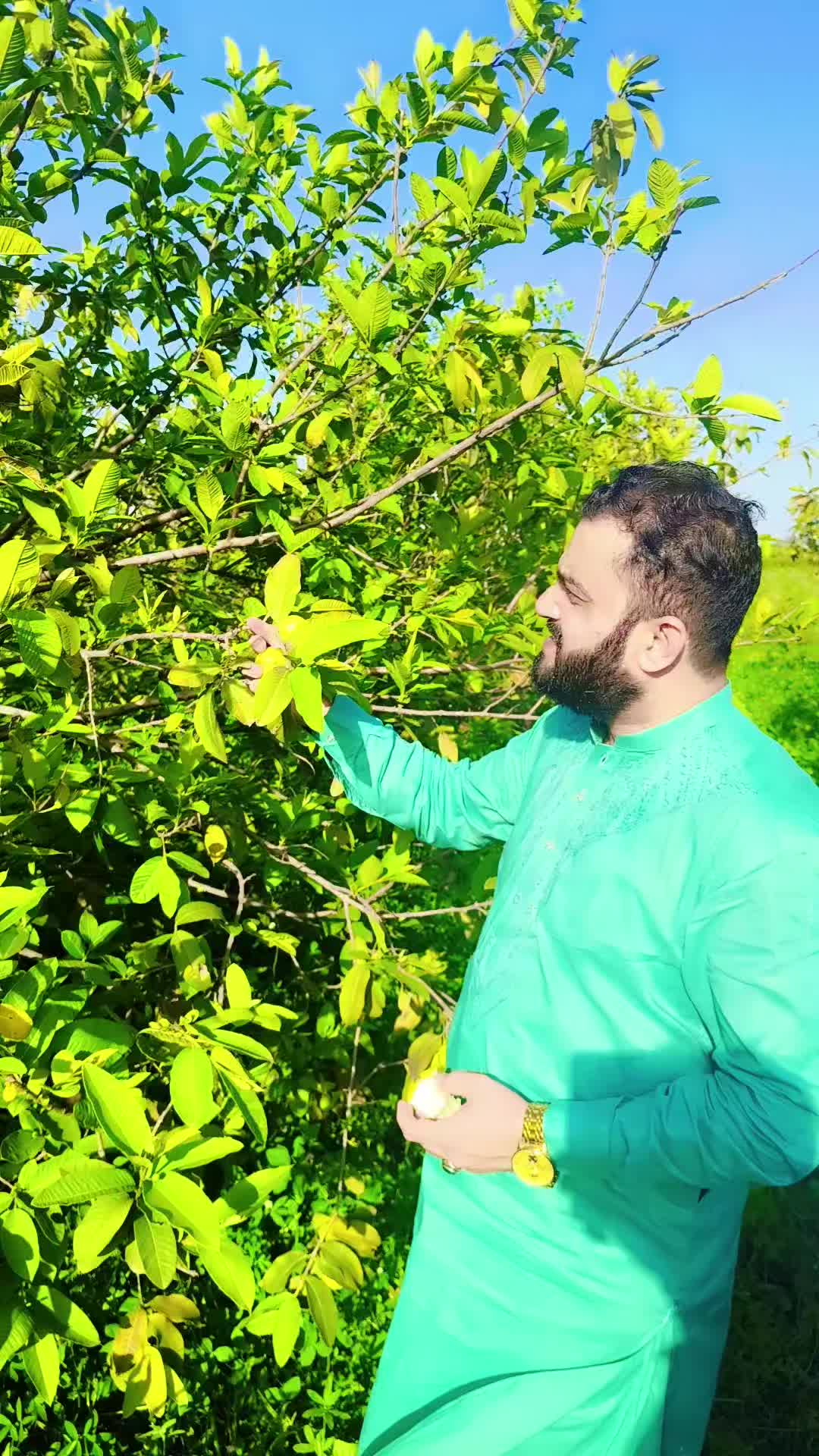 @chaudharysalman