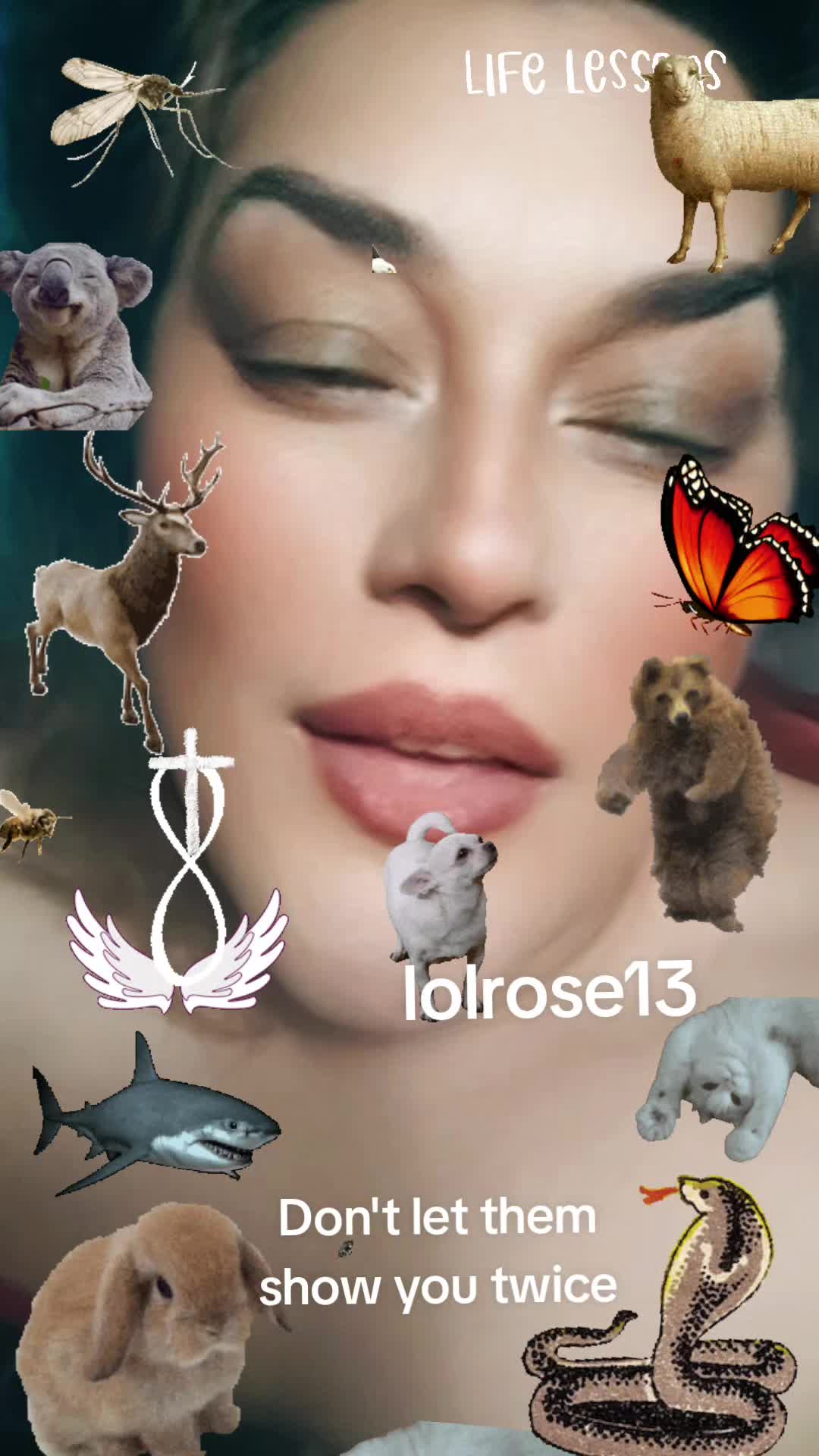 @Rosely