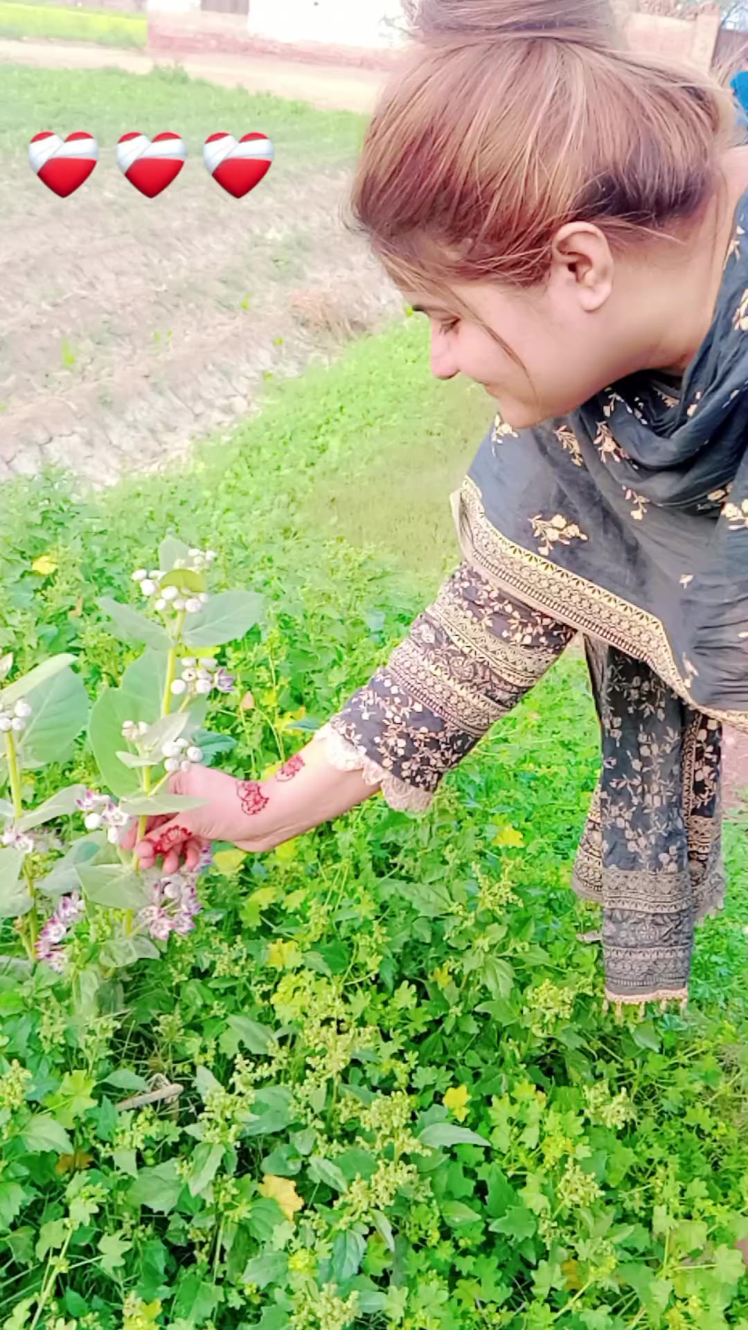 @Tayyba Nauman