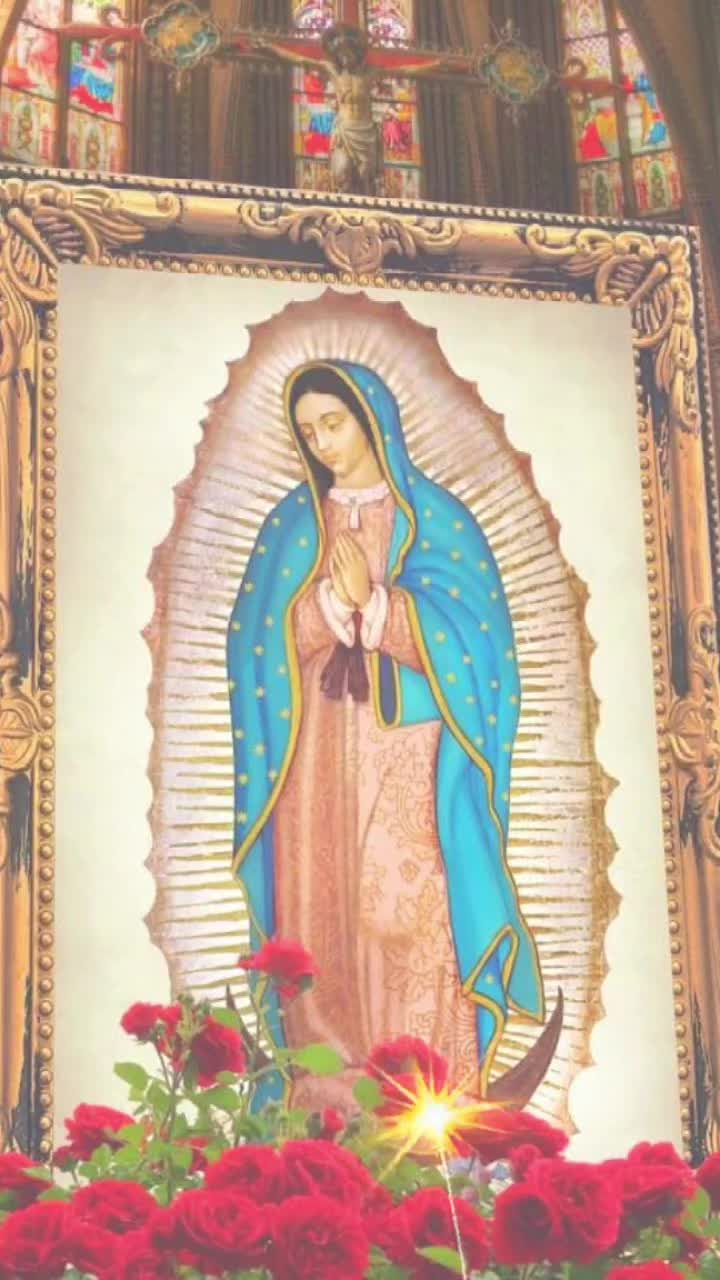 @viva la virgen de guadalupe 😍