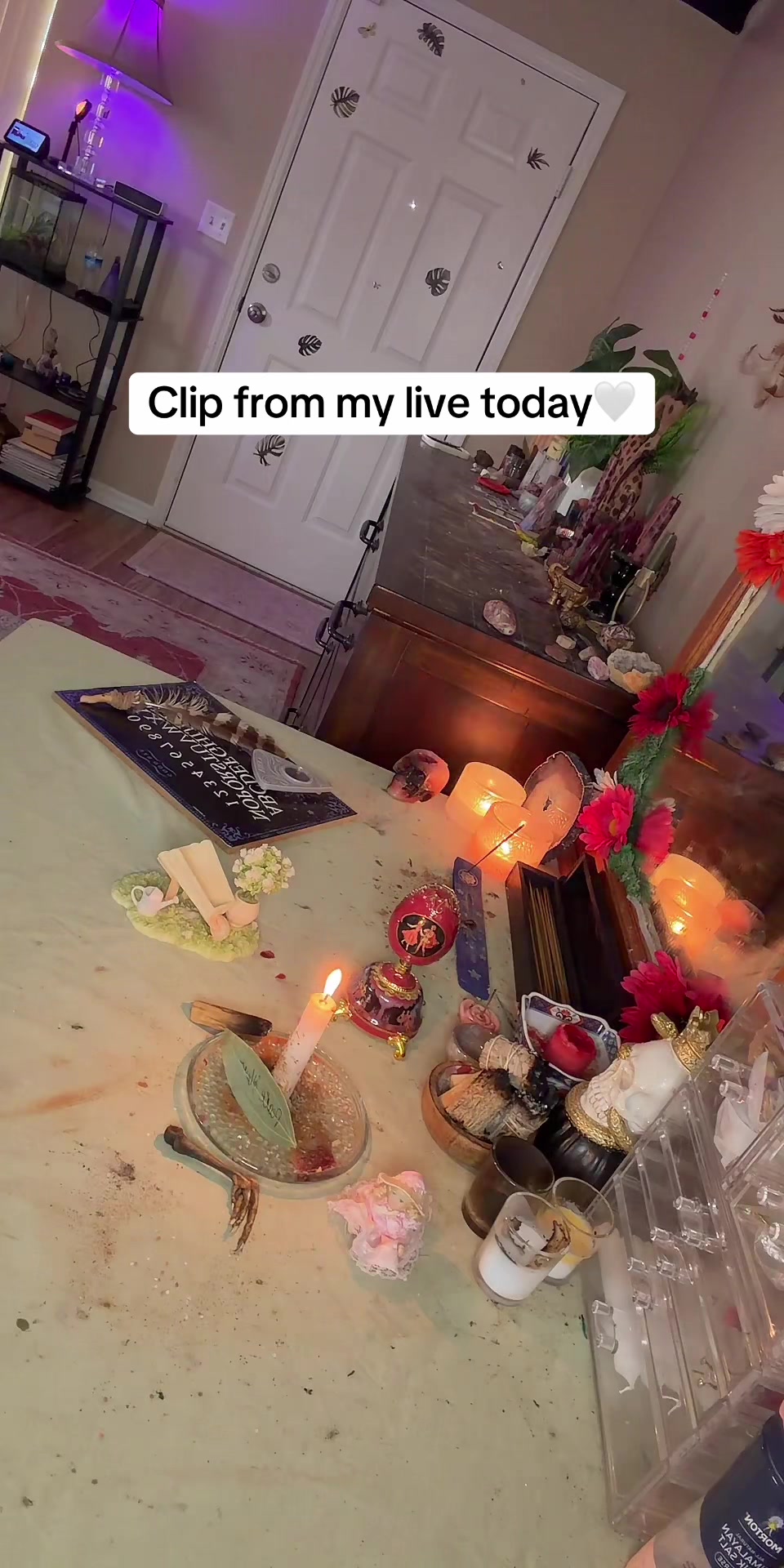 @spooktacularbhodie