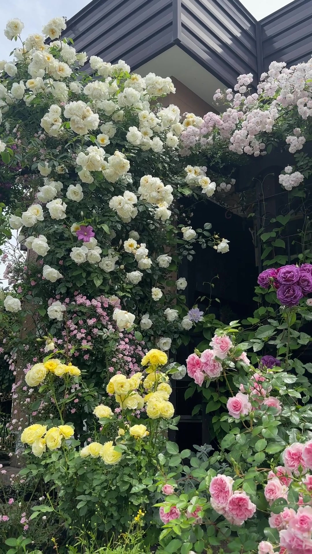 @flowerð¹ðžð¿