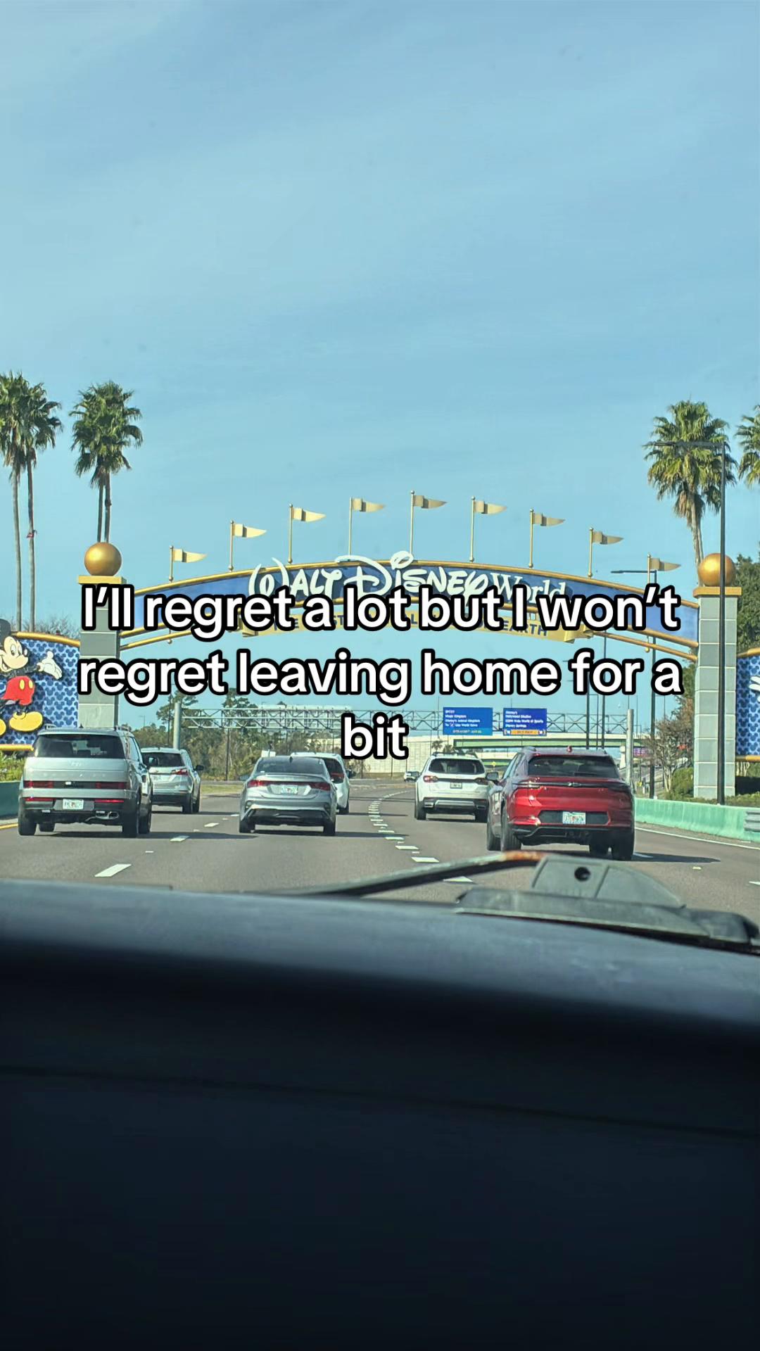 @🪻⋆˚࿔