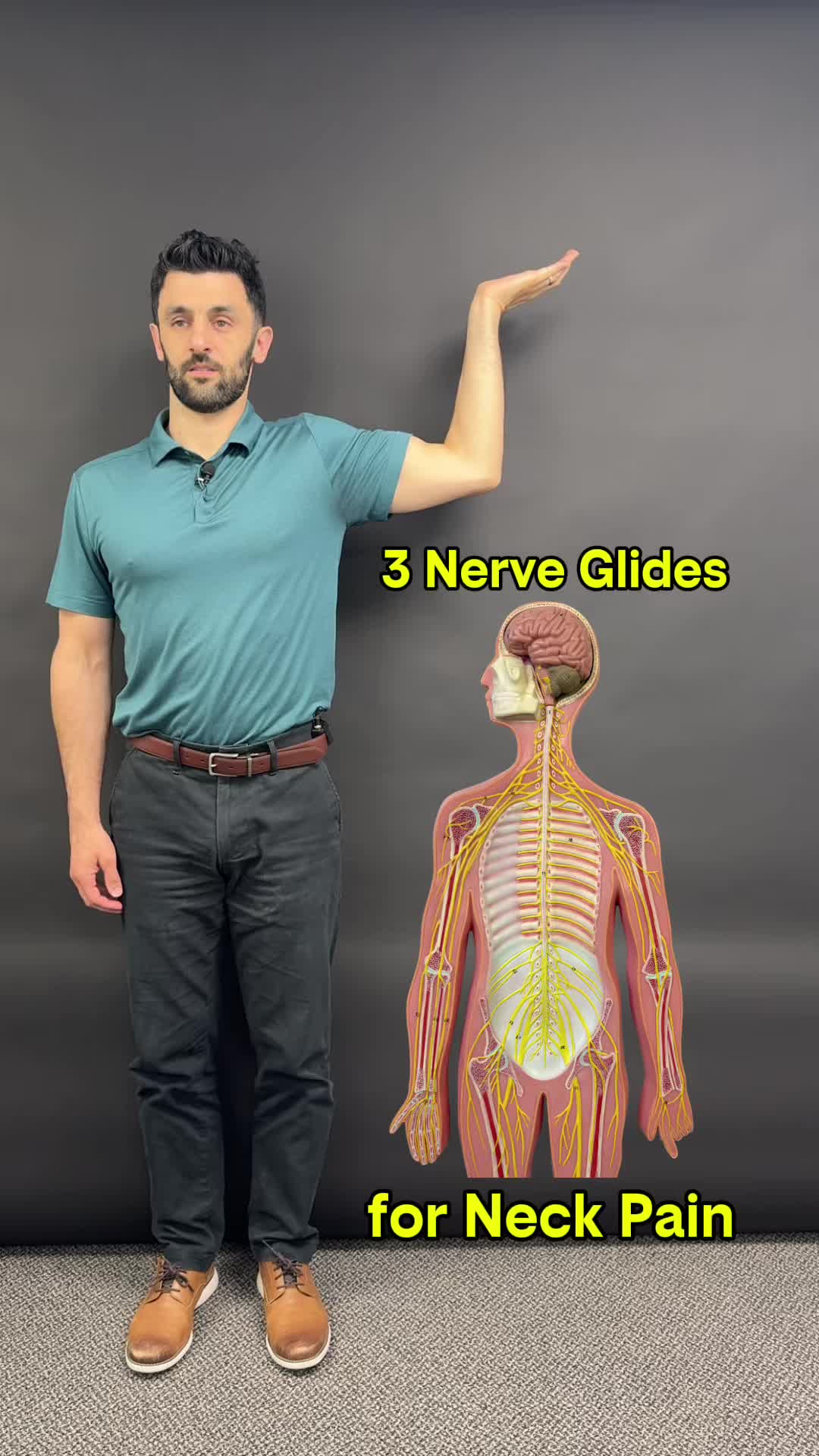 @Dr. Joe Damiani, DPT