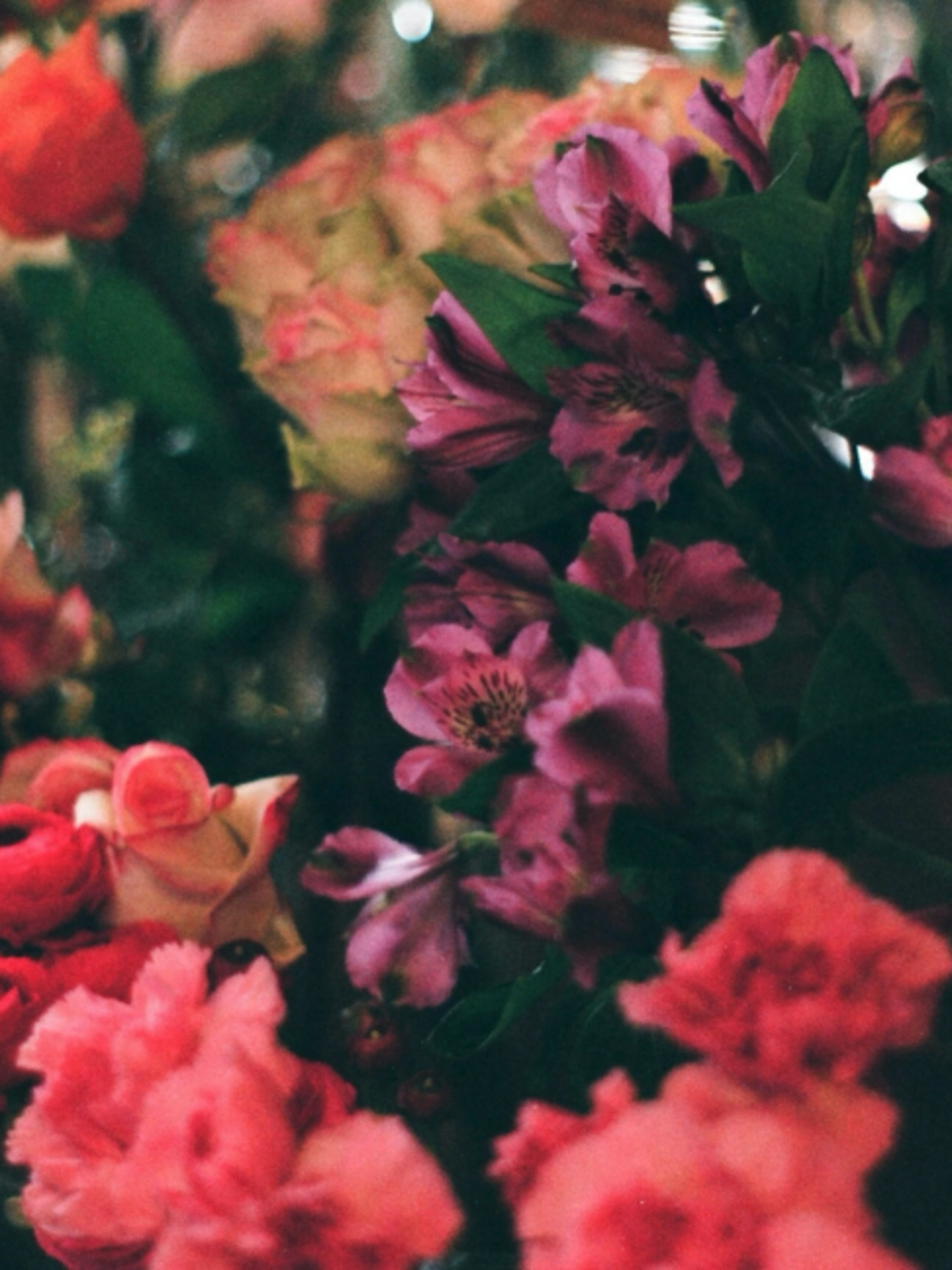 @theyearning.archive