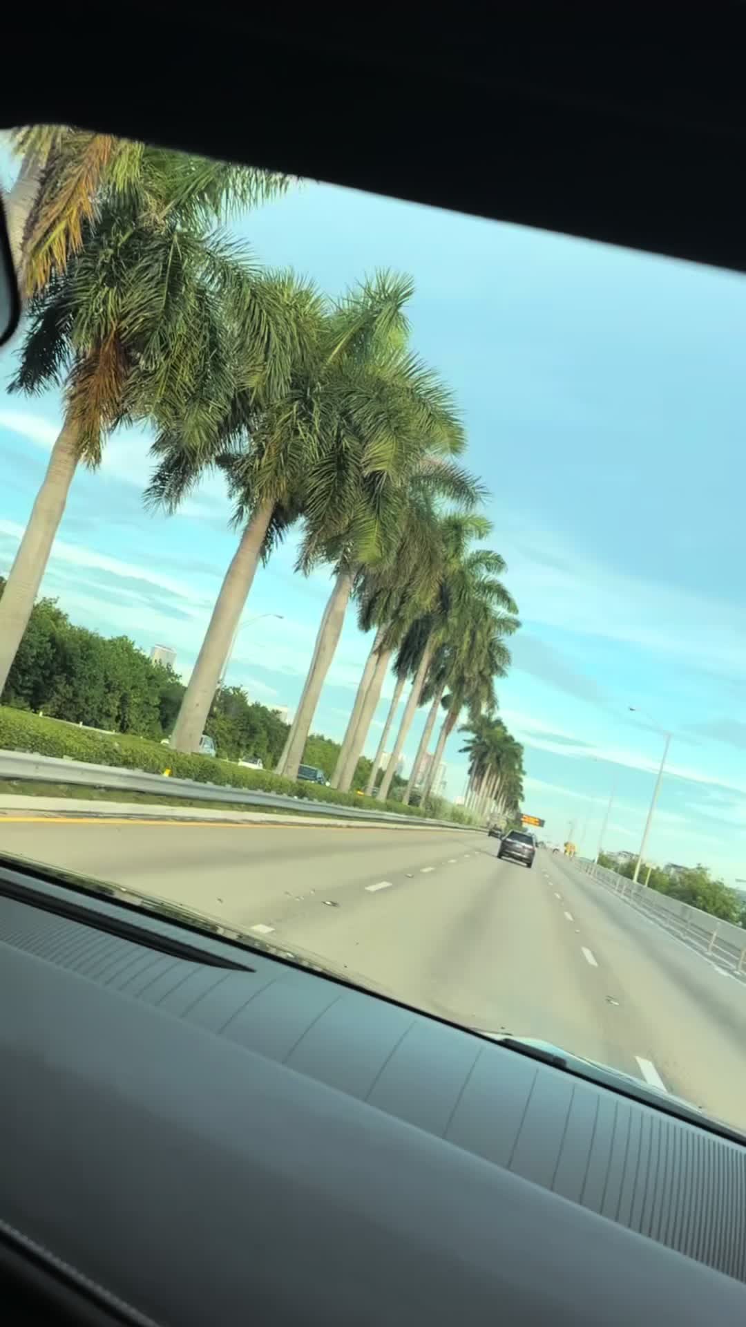 @raysocold