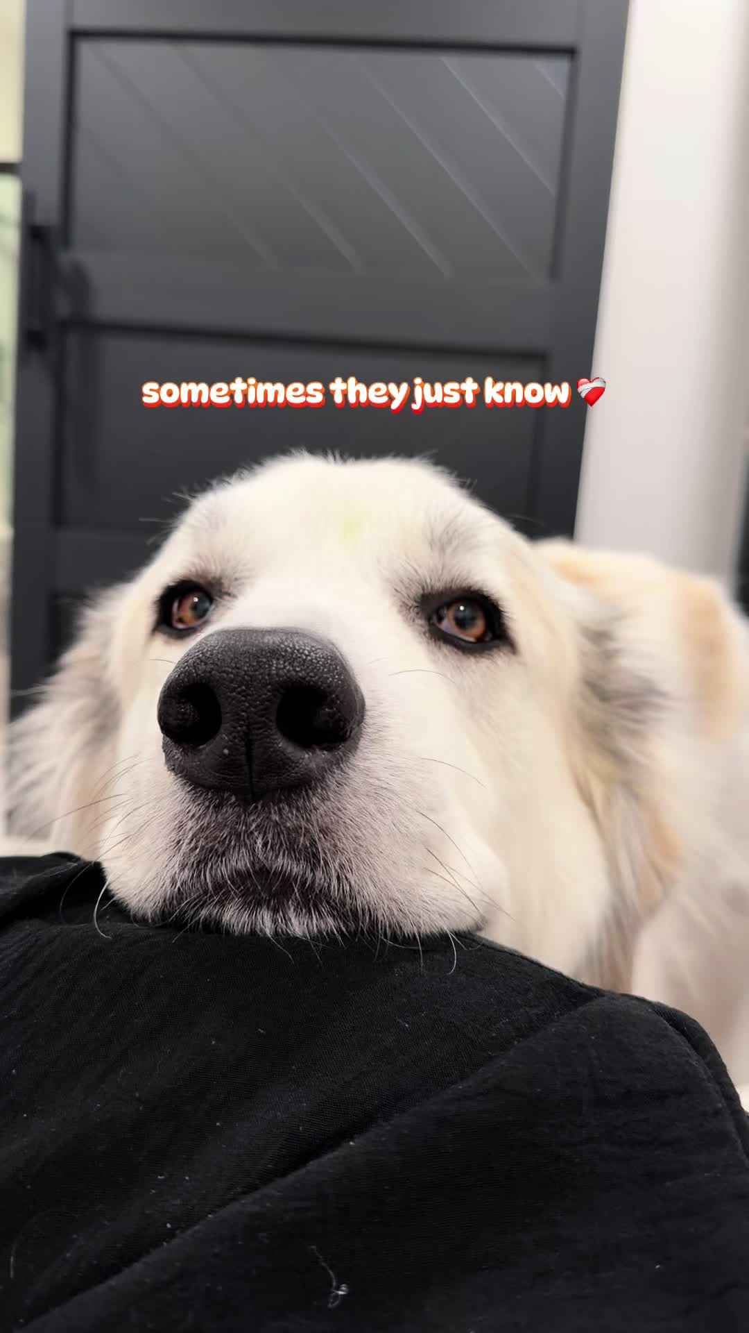 @Gee ☽