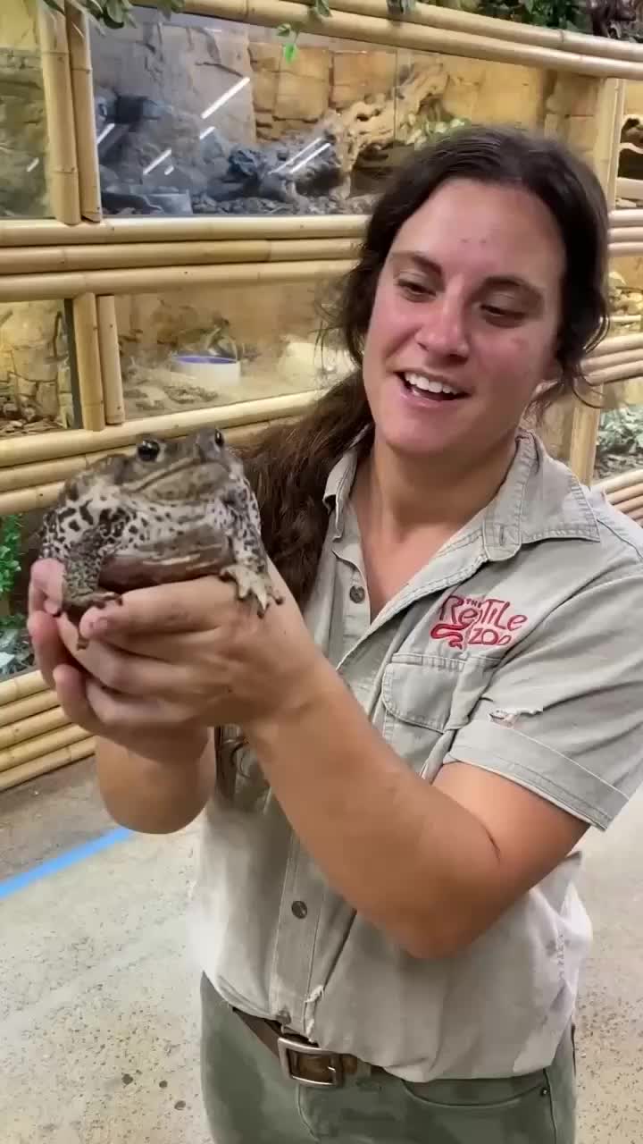 @The Reptile Zoo