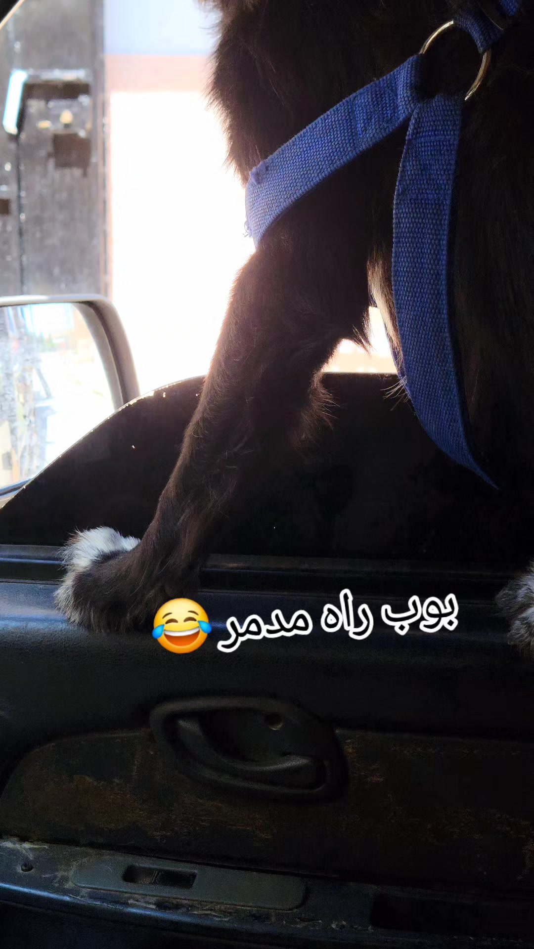 @oussamamilano439