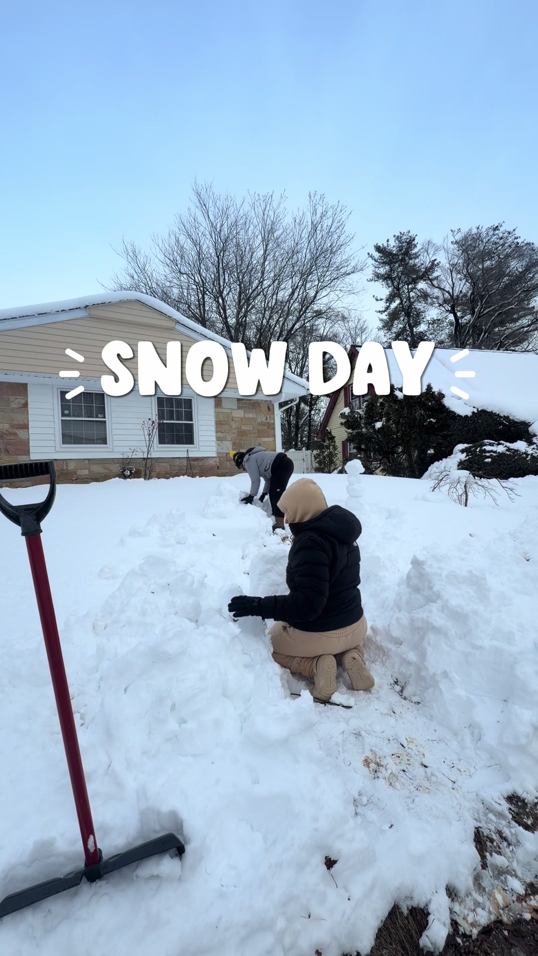 @za.realist
