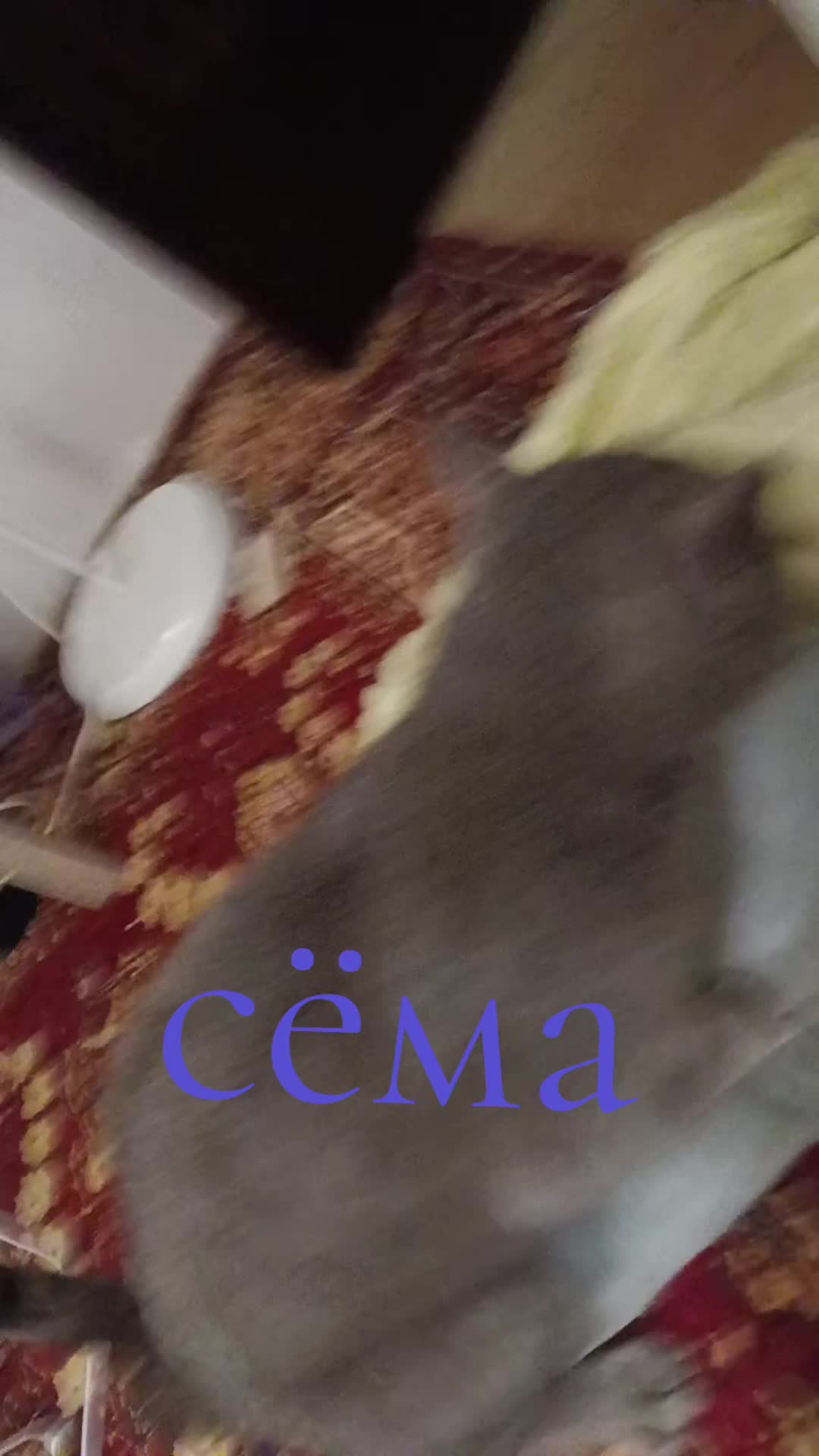 @๐๐๐๐๐๐๐_mix๐ญ๐ฃ