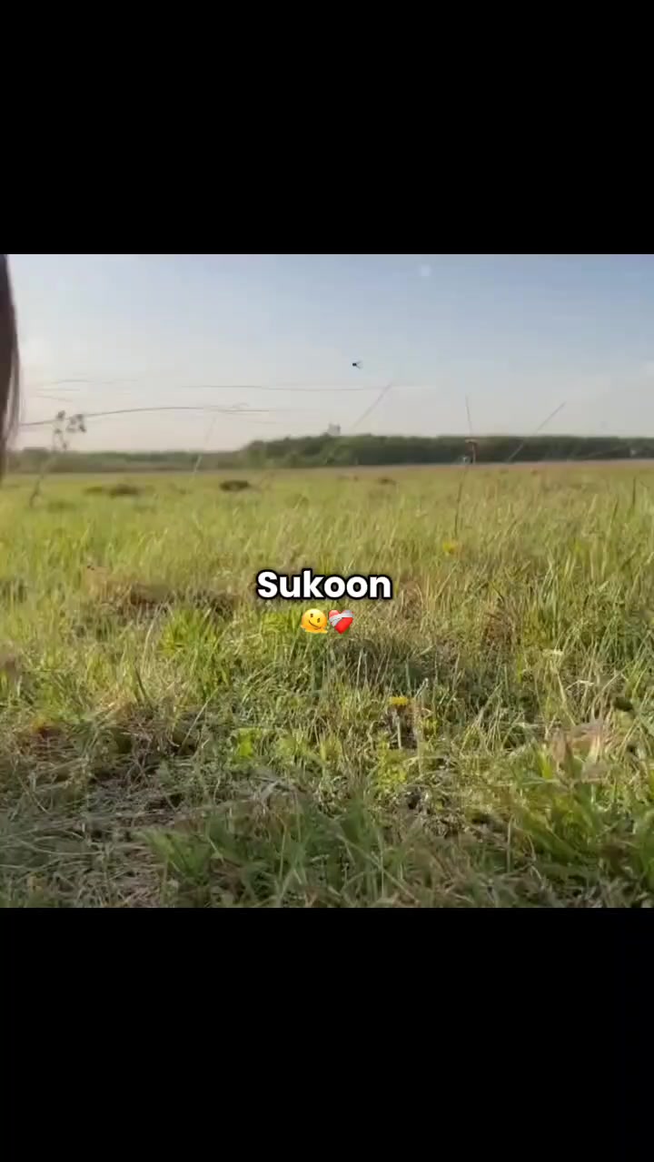 @☠️ ᴀʀᴇᴇʙᴀ〆ᴢɪᴅᴅɪ 🚩