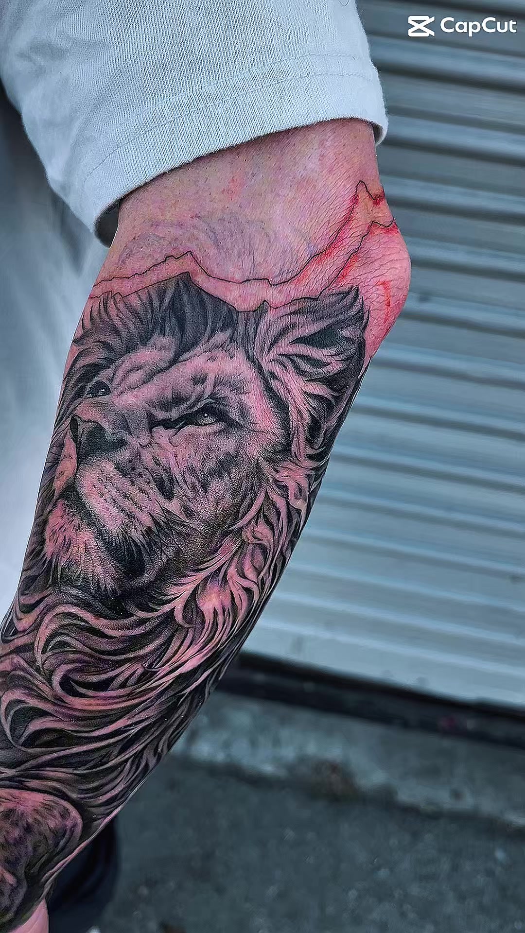 @Tattoos by Hart