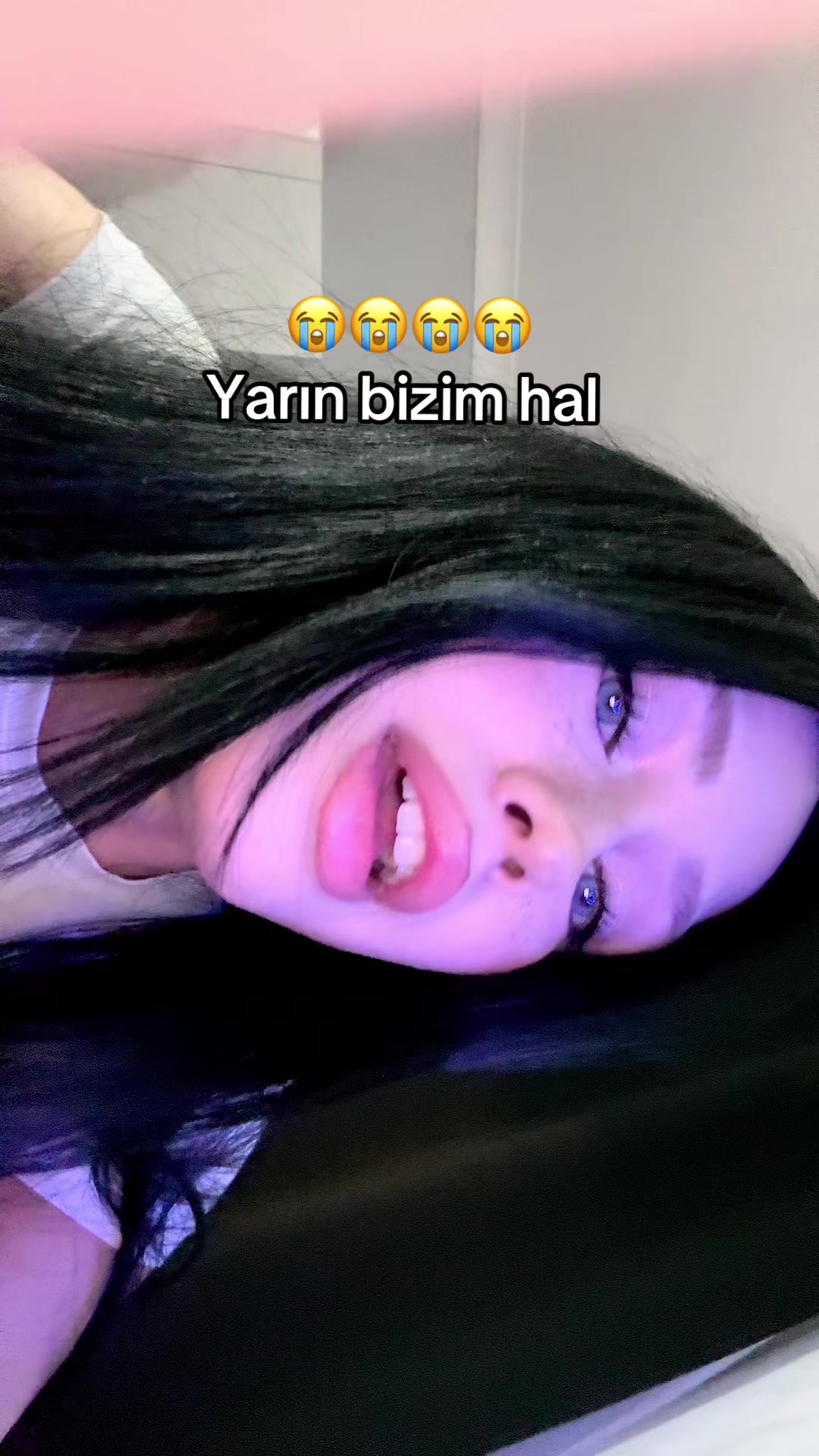 @arya 🐈⬛