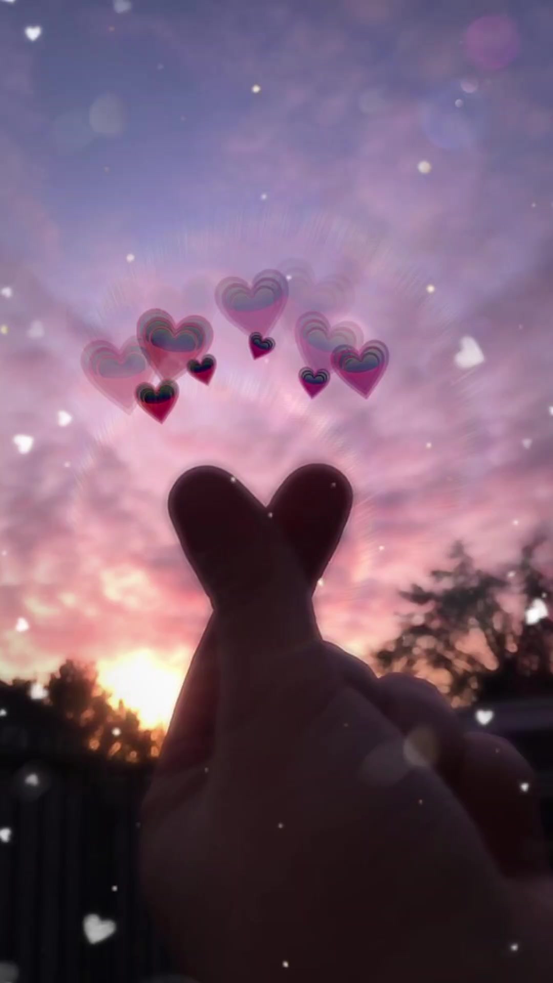 @masya25