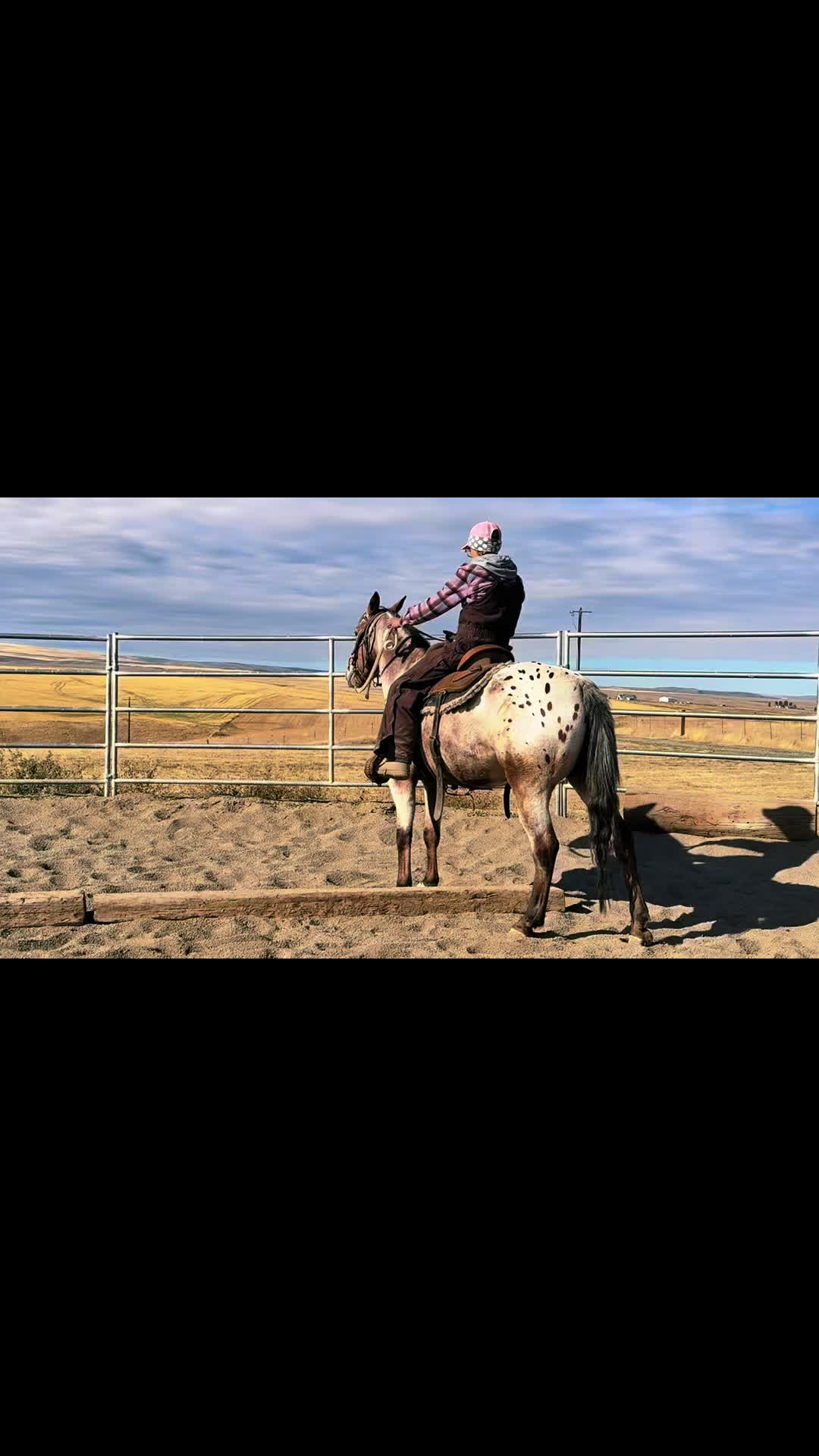 @Cowgirl Tuff Colt Training ❤️